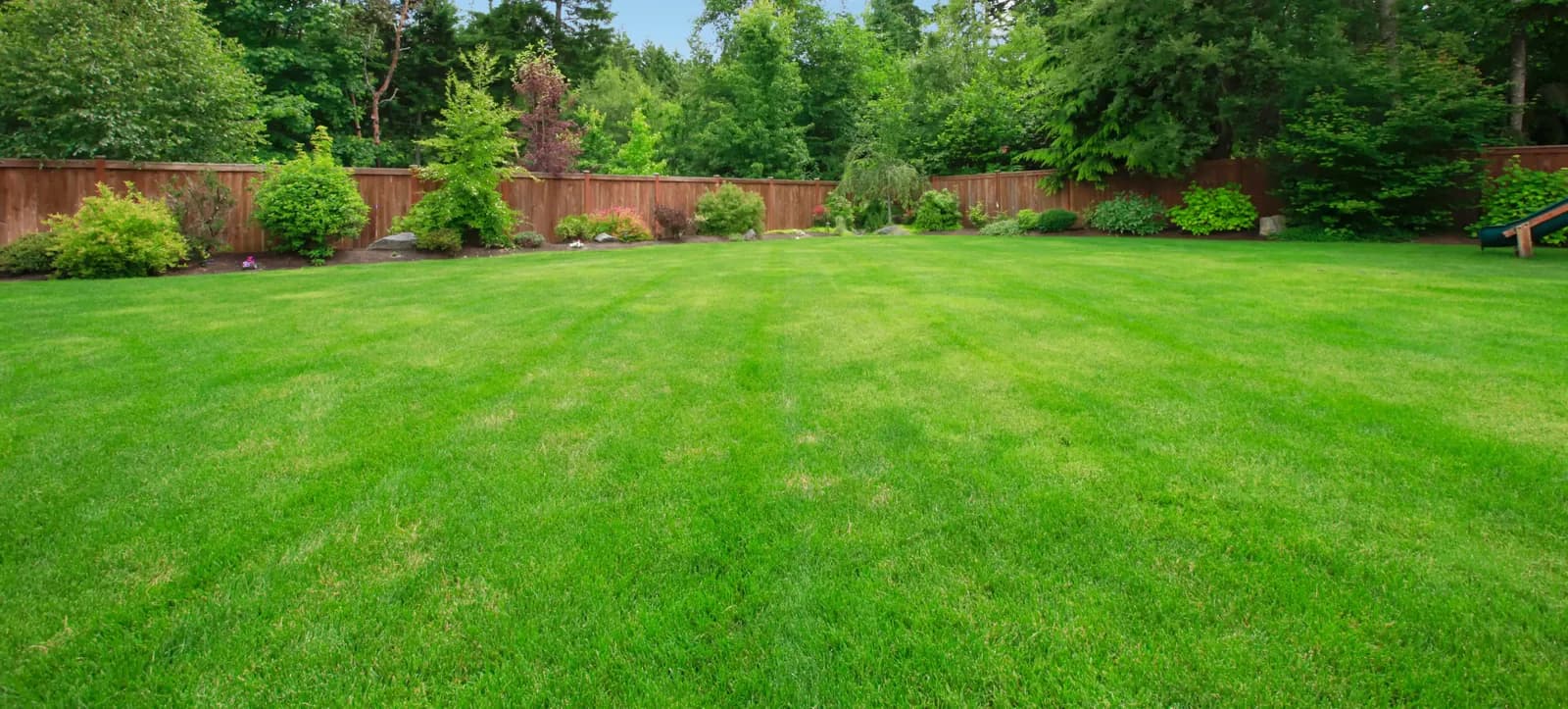 Lawn Doctor brand photo