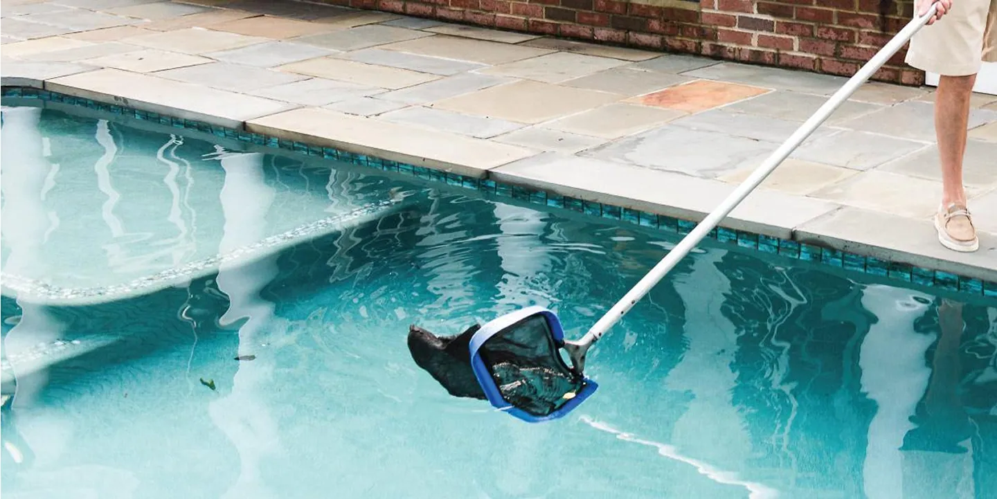 Pool Scouts brand photo