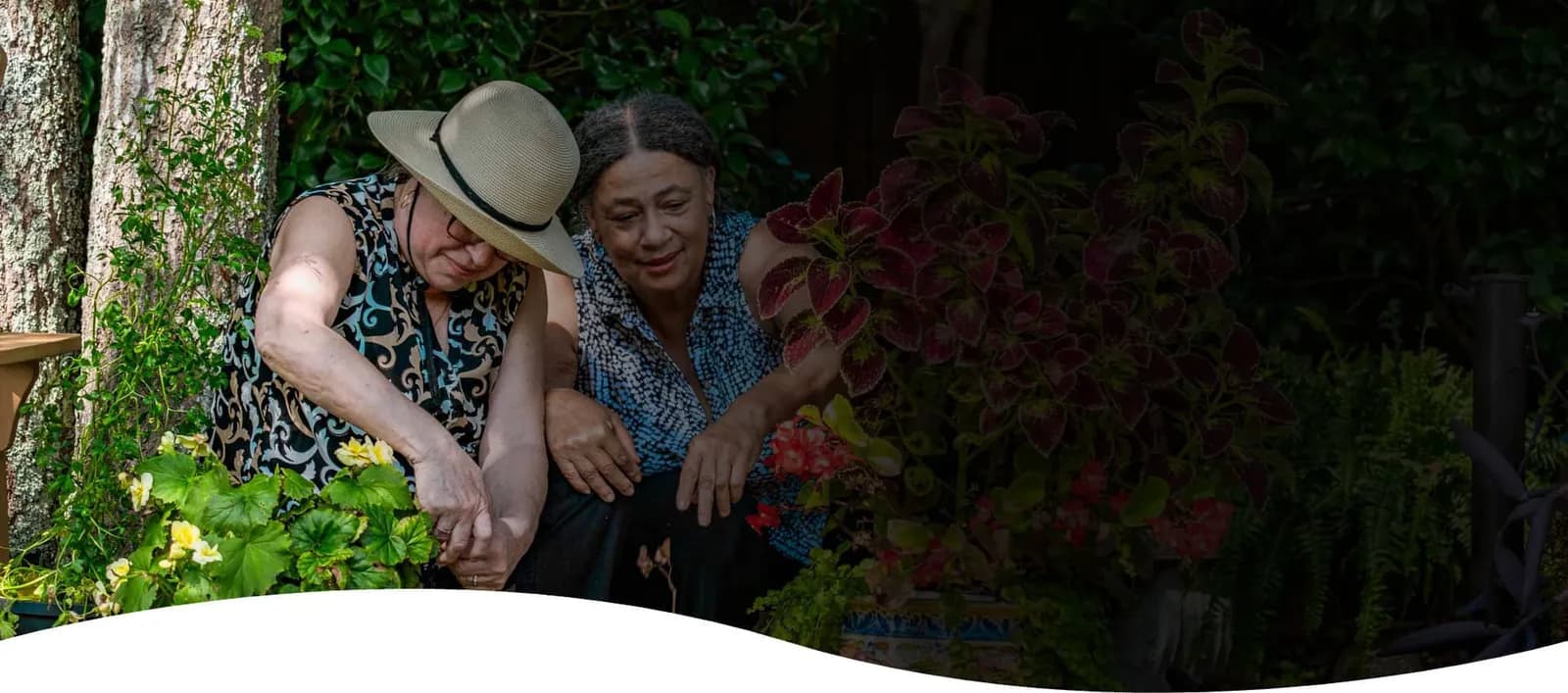 Seniors Helping Seniors brand photo
