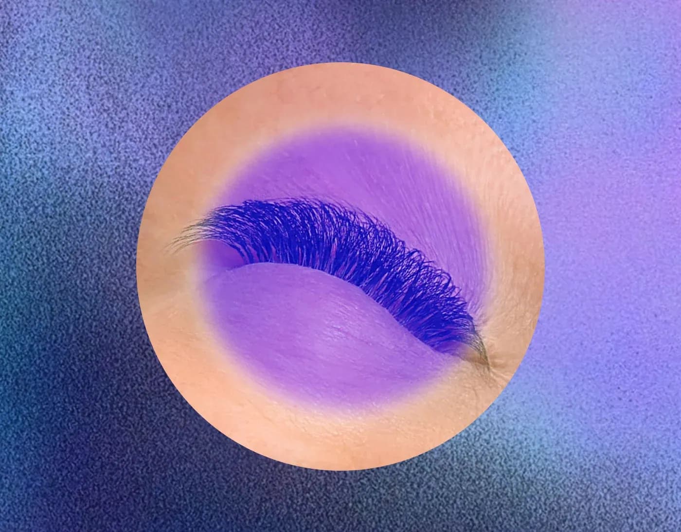 The Lash Lounge brand photo